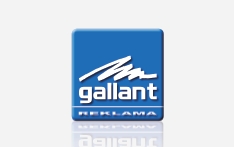 GALLANT